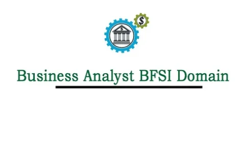 business-analyst-bfsi-domain-online-training-from-hyderabad-india-500x500